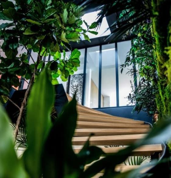 bureaux-la-jungle-montpellier-bottom-left